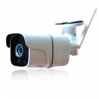 Telecamera wireless 1080P per Allarme