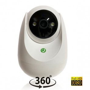 Telecamera motorizzata wireless per allarme